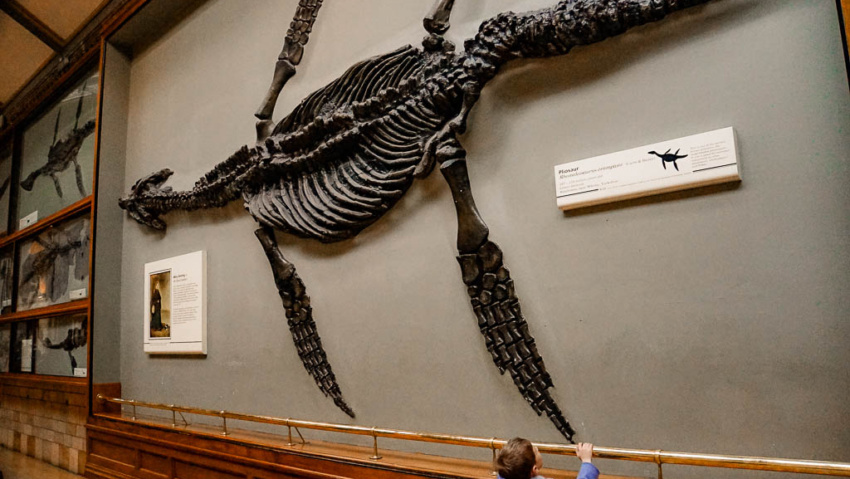 Londres3 Inglaterra amamosviajar 068