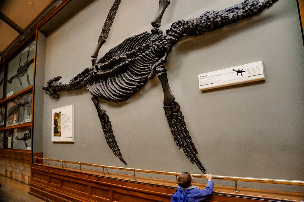 Londres3_Inglaterra_amamosviajar -068