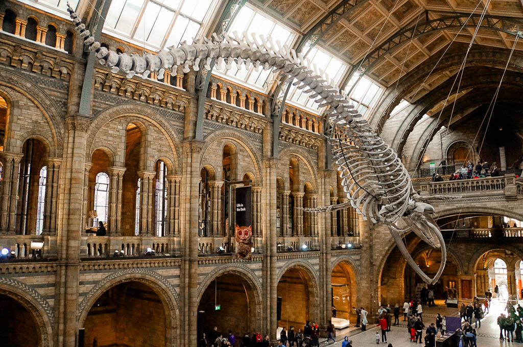 Londres3_Inglaterra_amamosviajar -079