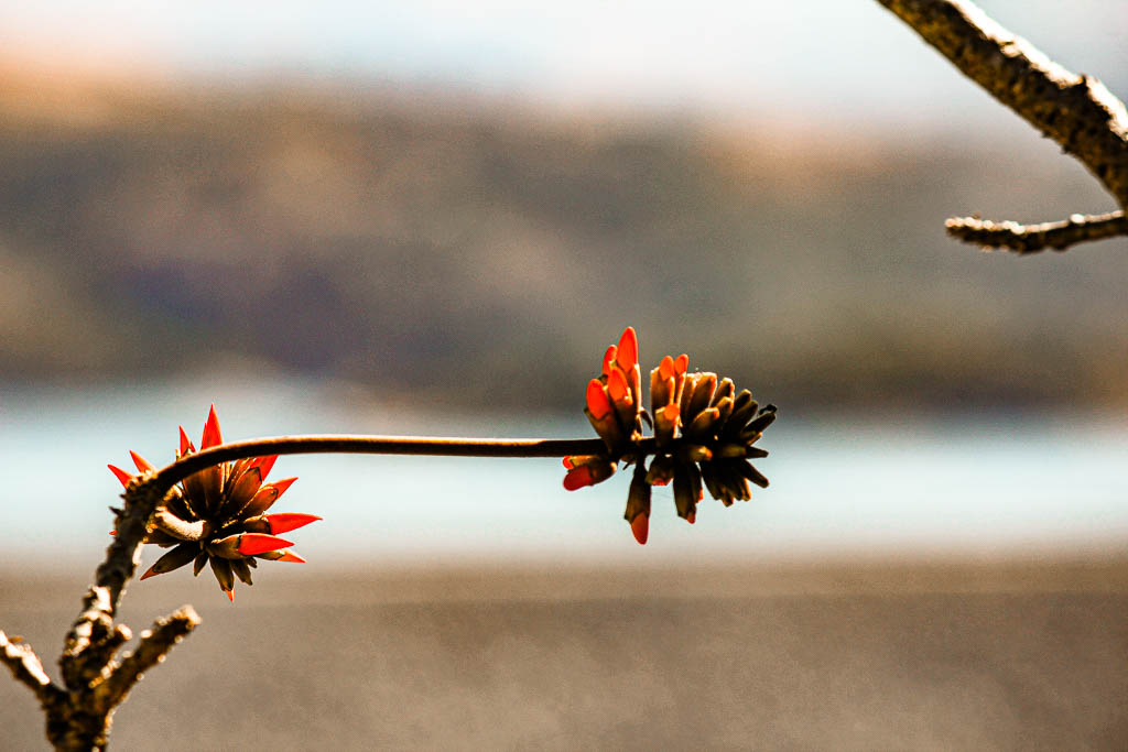 Mebabane_Essuatíni_amamosviajar -18