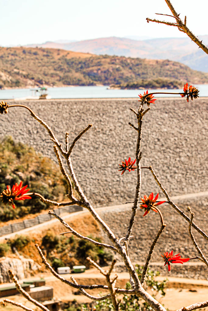 Mebabane_Essuatíni_amamosviajar -20