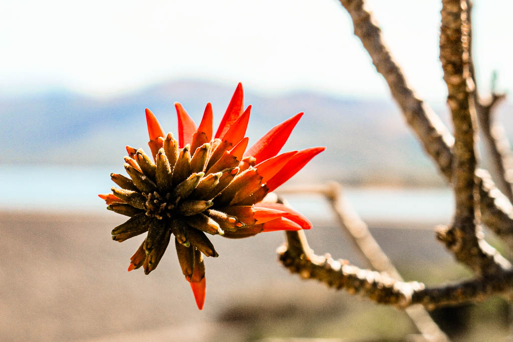 Mebabane_Essuatíni_amamosviajar -28