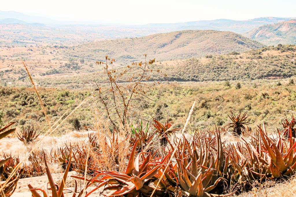 Mebabane_Essuatíni_amamosviajar -38