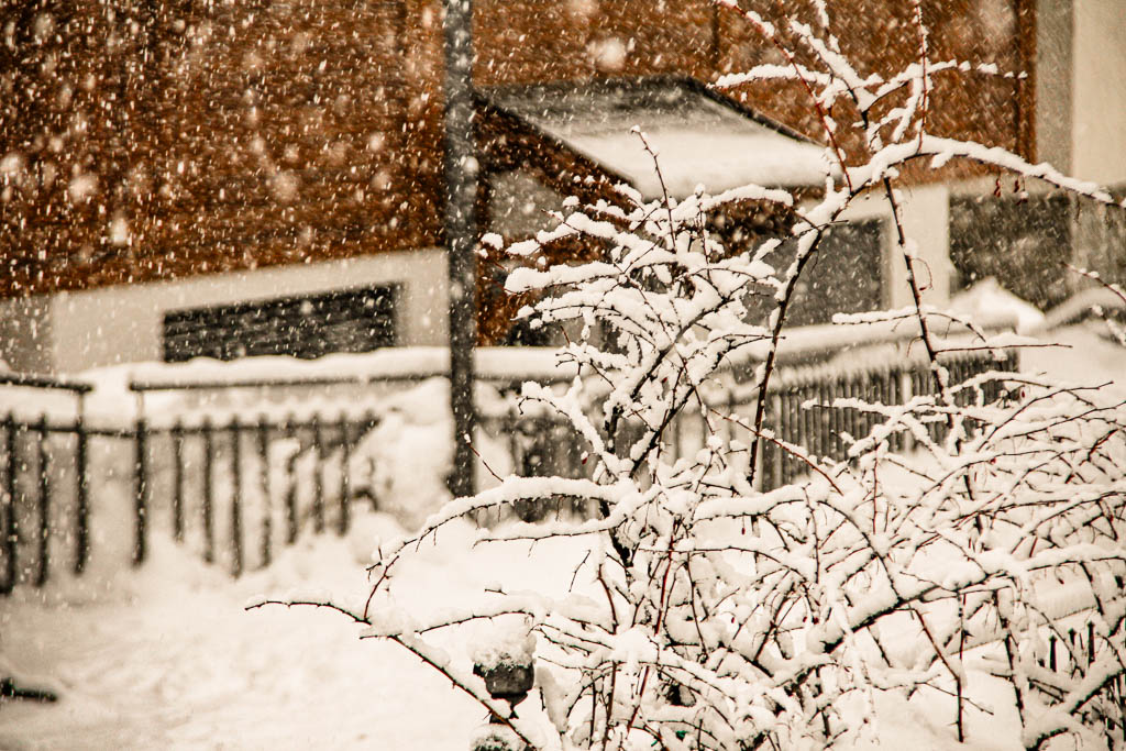 Zermatt_Suiça_amamosviajar -050