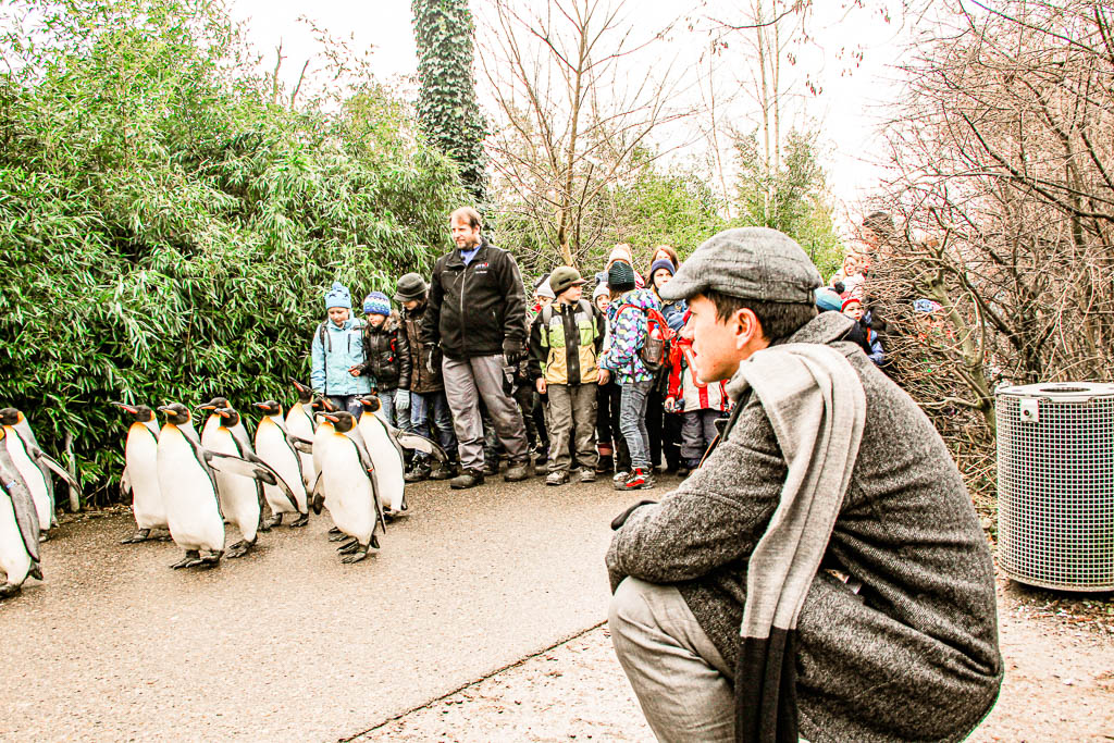 Zurique Suica amamosviajar 028