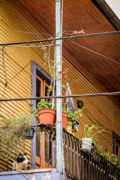 Buenos Aires Argentina amamosviajar -128